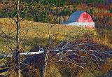 Canadian Shield Scene_DSCF03019